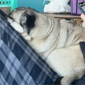 Meet your Posher, Stephen